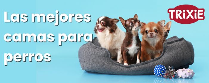 Camas para perros